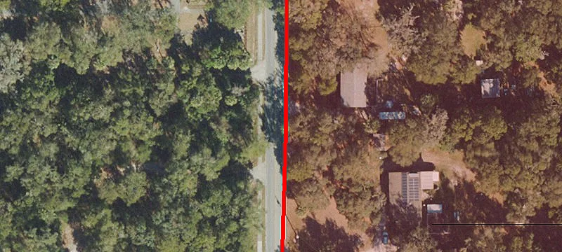 Carpenter Ave