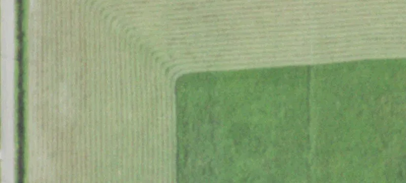 802 Us-90