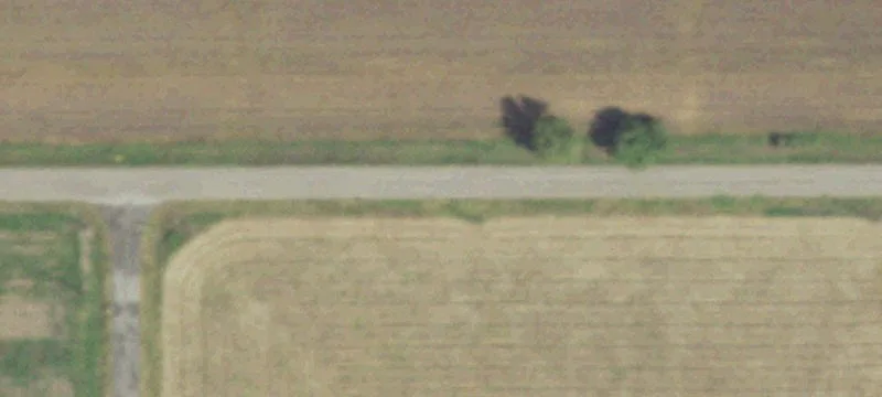 Schultz Rd