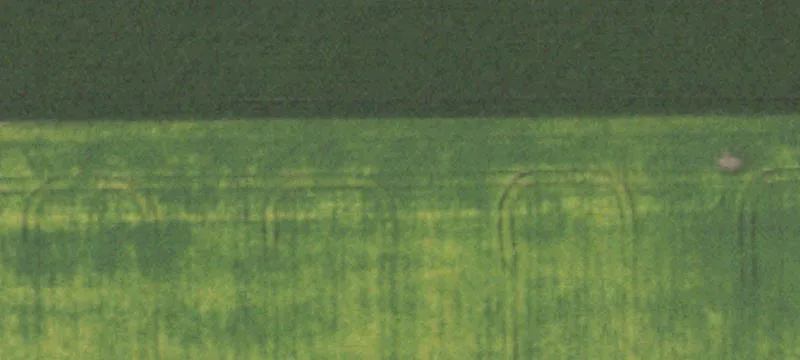50 Rte