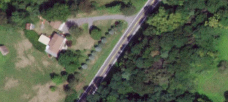 Ny-82