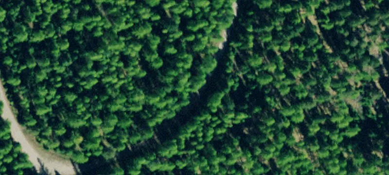 6 Wild Bill Reserve