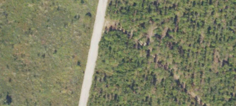 Fire Tower Rd