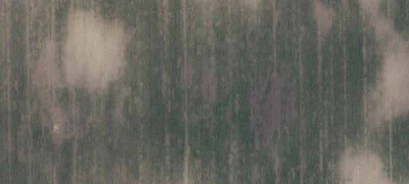 Kingsville, TX 78363