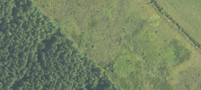 95.6 Acres In Newton County