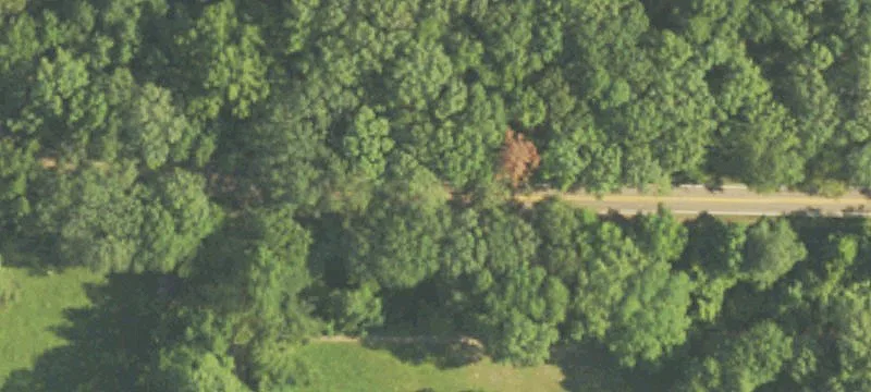 Northside Dr