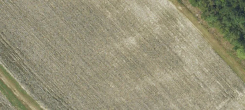 15838 Nc 11