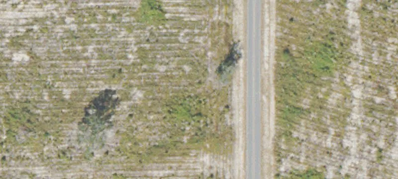 Saddle Club Rd