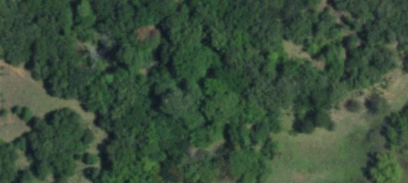 52 Wicklow