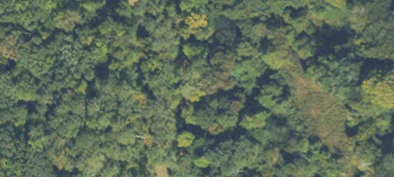 Baugh Mountain Rd