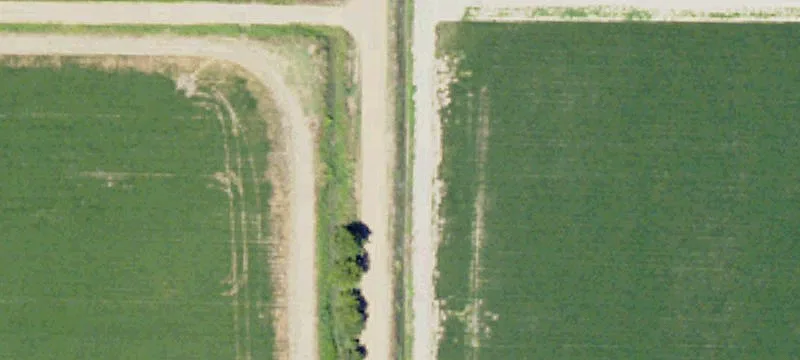 50.5 Acres With A Home In Sunflower County On Fox Rd