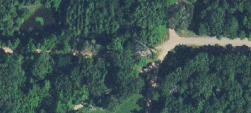 Lacebark Loop