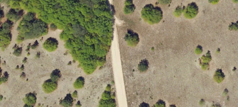 Jewelweed Rd