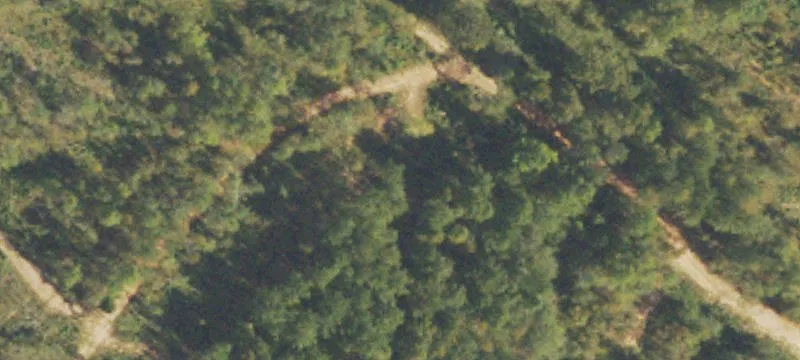 428 Whitfield Rd