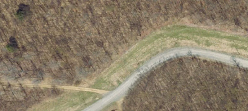Address Not Disclosed