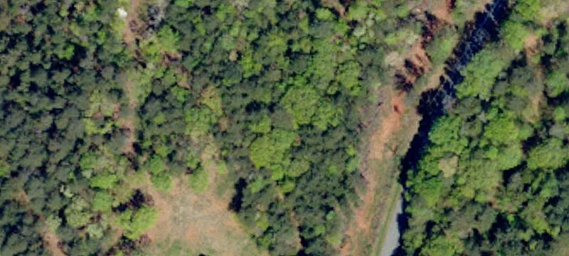 Quinn Trl