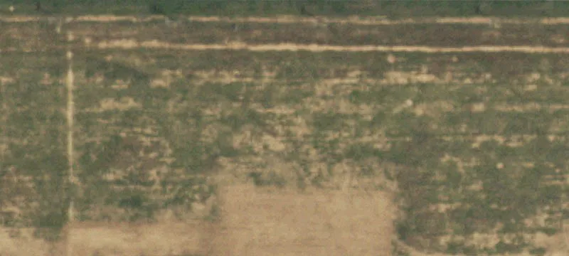 8351 Fm2219