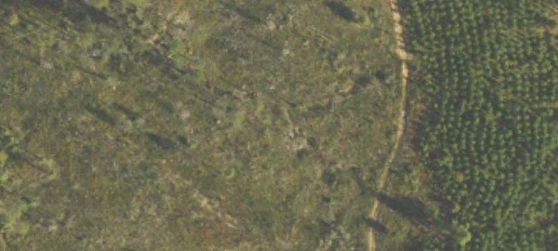 Tallapoosa Land