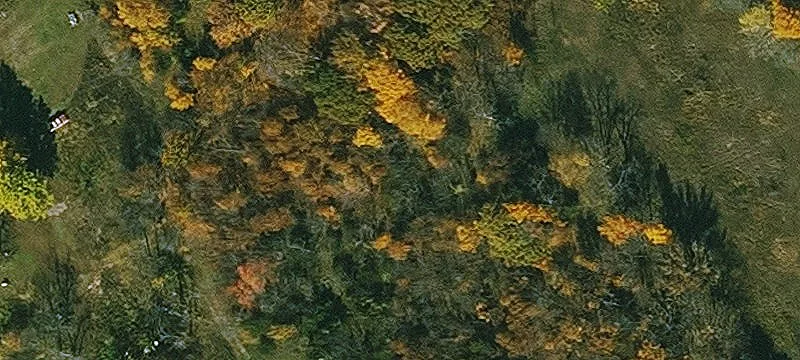 Webster County