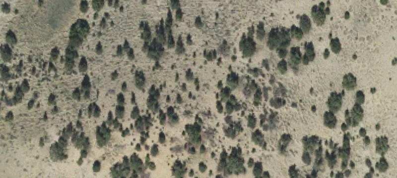 Bryce Way