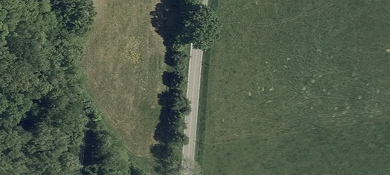 Dog Hollow Rd