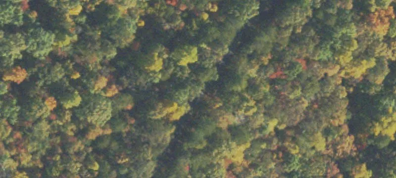 Eagle Rest Rd