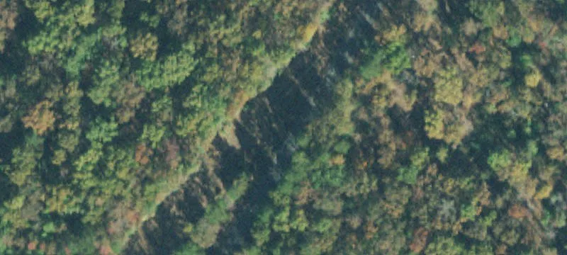 Otis Plunk Rd