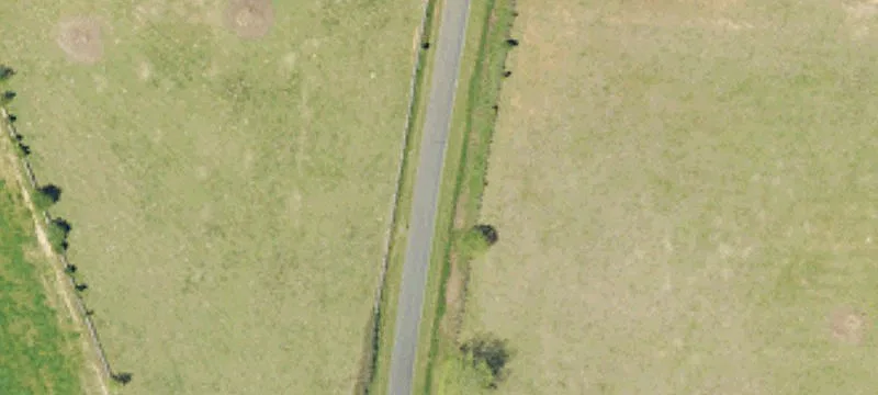 Padgett Pond Rd
