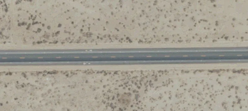 Palm Canyon Dr