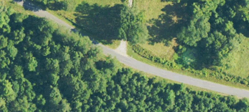 Chicora River Rd