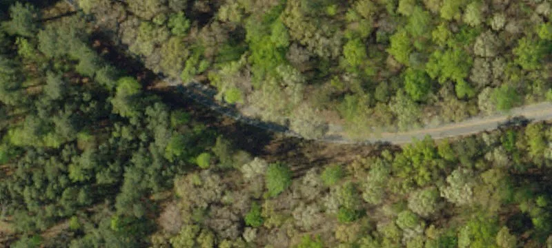 Nimmons Bridge Rd