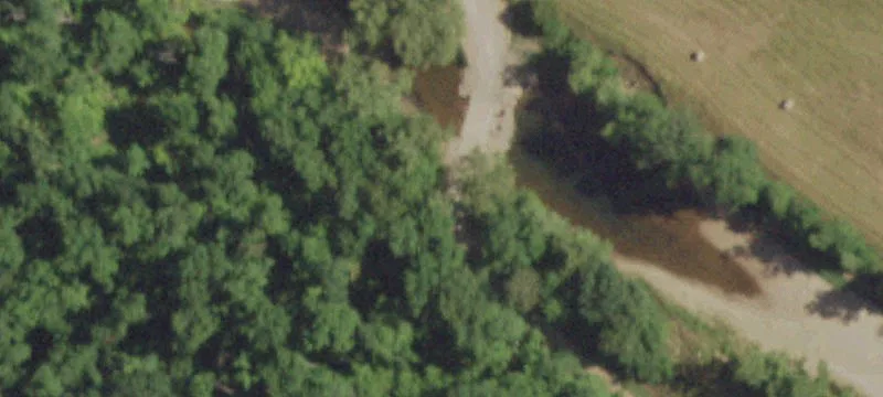 1857 Wayne County 406