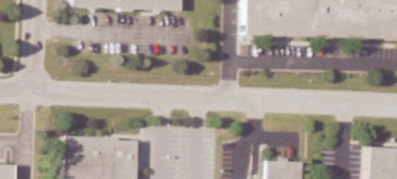 Dolphin Dr