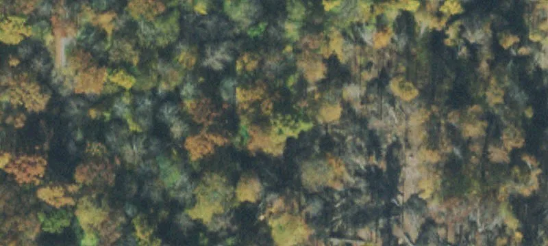 Skaggs Branch Rd
