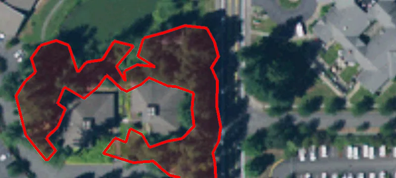 410 Black Hills Ln