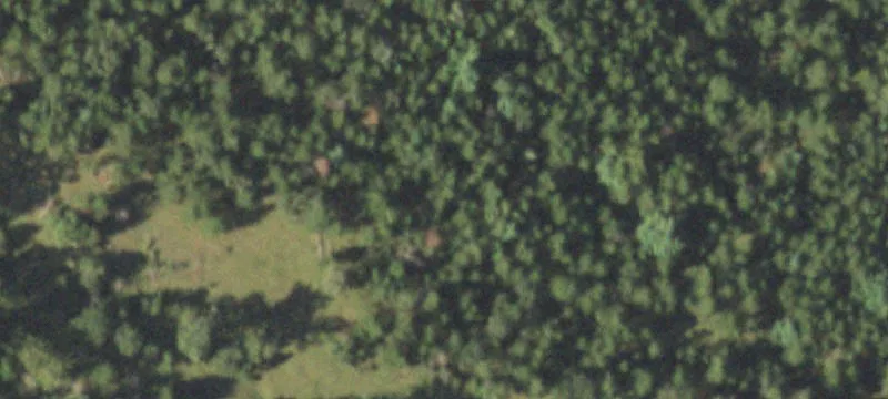 1300 Great Wolf Dr