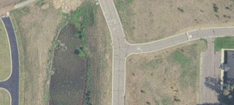 Baxter MN Conifer Dr & Brandon Rd