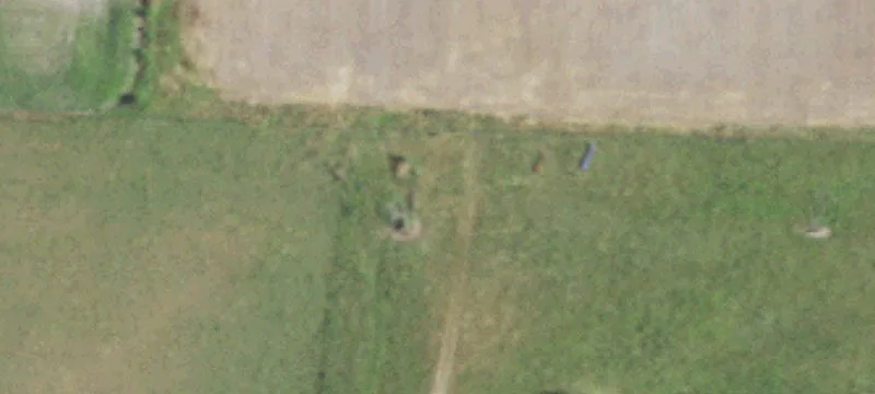 000 Woodland Dr