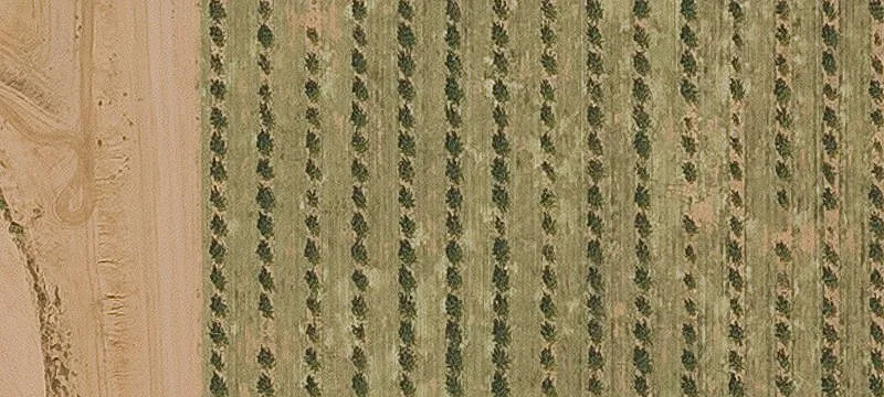 Hohokam Farm Way