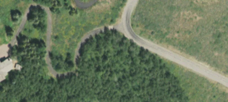 Trader Rd