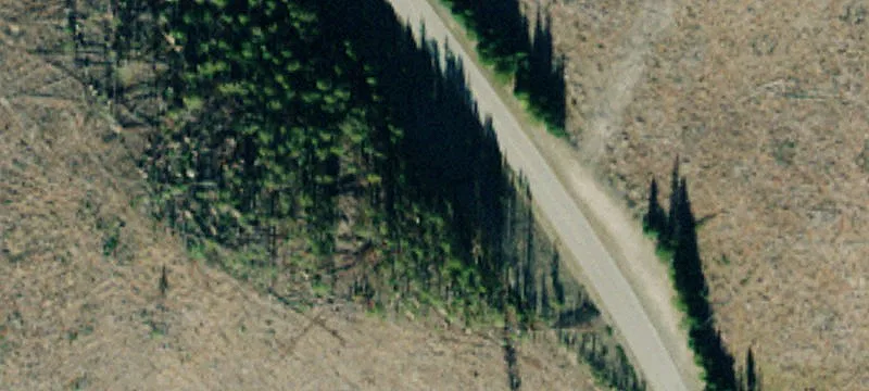 Nhn Griffin Crk Rd