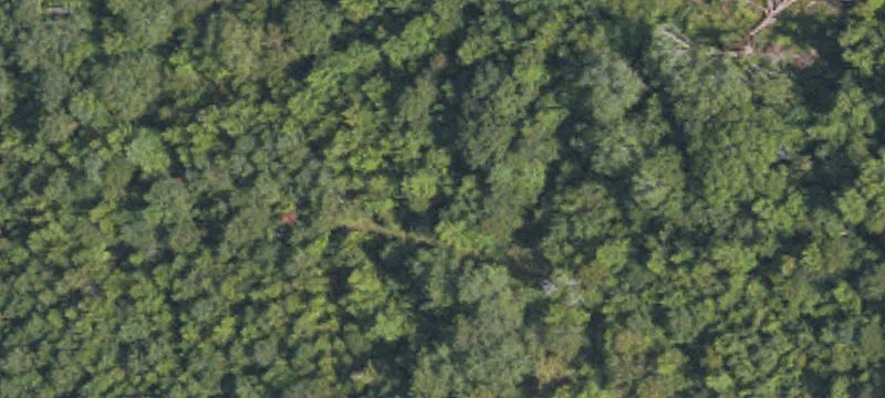 39.8 Acres In Attala