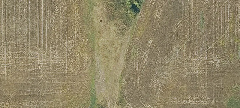 Highway 42