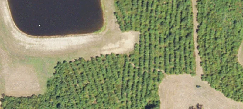 25 Acres In Hinds