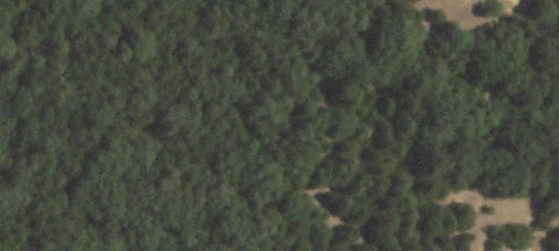 113 Tbd County Rd