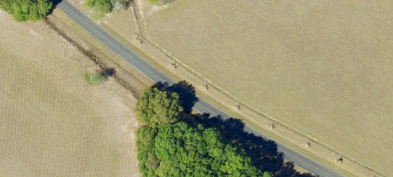 Shaws Fork Rd
