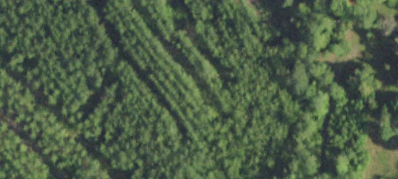17 County Road 1325