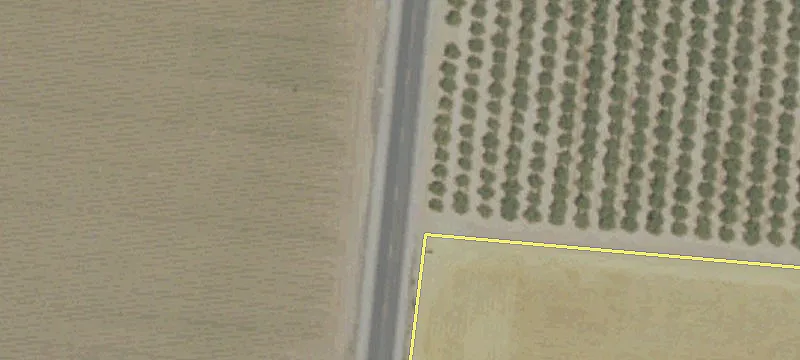 Badger Flat Rd