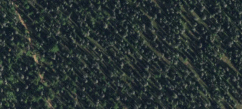 2540 Usfs Rd