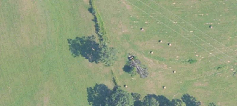 79.6 Acres In Holmes County